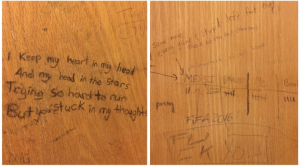 Figure 4: The difference between female and male vandalism.