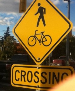 Figure 2: Crossing Sign 